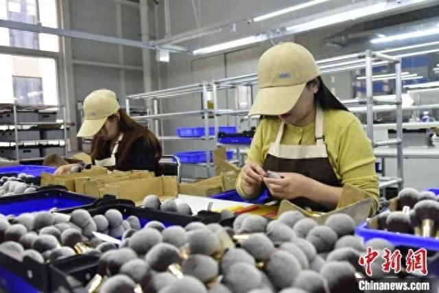 州真有“两把刷子”！不朽情缘电子游戏沧(图3)