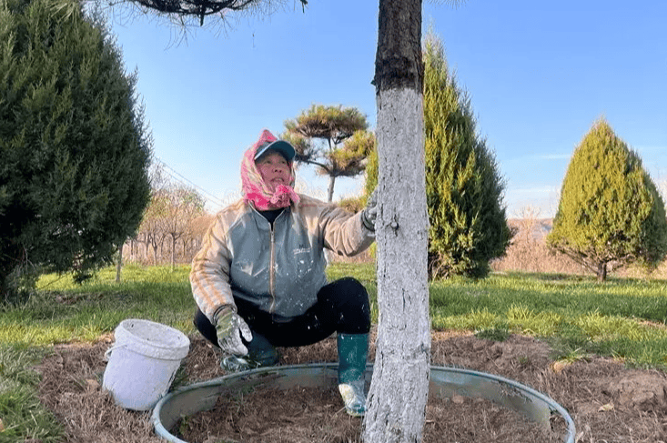 黄河湿地：生态保护与可持续发展并进不朽情缘登录入口【今日关注